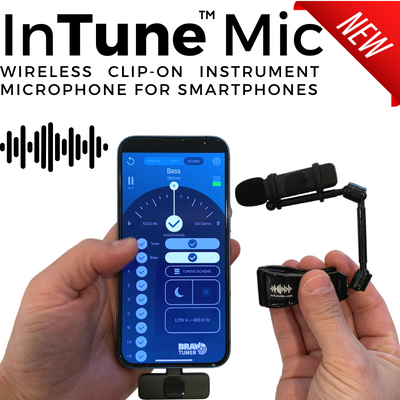 InTune Mic